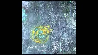 xavier rudd :: dark shades of blue