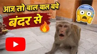 Aaj to bal bal bache bandar se | #villagerlifestyle #dailyvlog #funnyvlog 