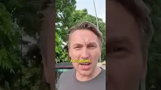 Phil Bland Visits Delhi For the First Time 🇮🇳 #shorts