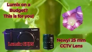 Best Budget Lens for the Lumix GX85 - Newyi 25mm CCTV -  Raw Footage #lumix #cctv #budget #gx85