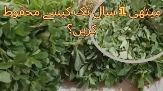 Easy Way to Store Fenugreek Leaves for 1 Year” 