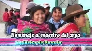 JARANA DE RAUL CULE Y EL ÑATO DE PAUCARAY TEMA: SANDALIA SANDALIACHA