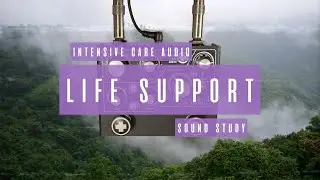 Sound Study // Intensive Care Audio - Life Support