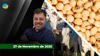 Soja requer aten&ccedil;&atilde;o com cen&aacute;rio de safra recorde no Brasil e China abastecida com soja americana...