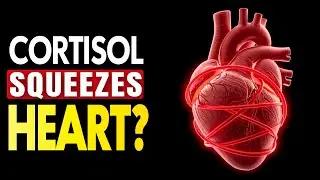 Stress Hits Your Heart Harder After 40 (The Hormonal Reason)