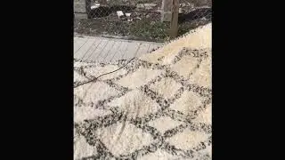 🟣 Rug Cleaning and Restoration Process in Palm Beach