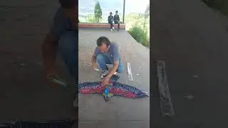Flying eagle kite