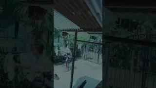 Assam weather like || বতৰ গেলা||কাপোৰ||Funy video||@Partha2022_0 @Classic 350silv #cinematic