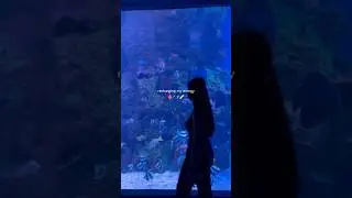 #aquarium #neosoho #fypシ