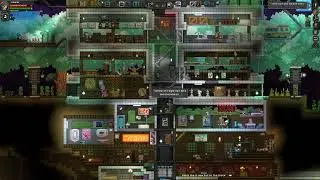 Starbound colony