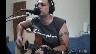 Ducu Bertzi - Balada firului de iarbă (cover by Tudor Ionut)