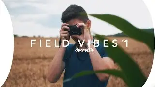 F I E L D   V I B E S &acute;1
