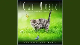 Cat Music Dreams