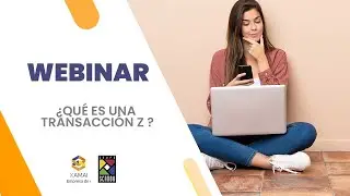 Webinar - &iquest;Qu&eacute; es una transacci&oacute;n Z ?