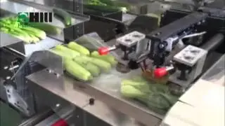 vegetable bottom film reel holder flow wrapping machine