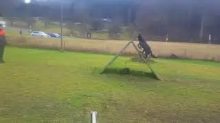 Xaver Schr&auml;gwand apport