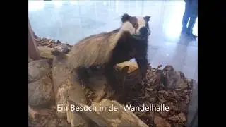 Bad Wildungen , Homberg und co.
