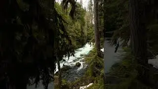 BEST VIEW IN OREGON 😻 #oregon #nature #travel #views #shorts #placestovisit #outdoors #waterfall