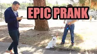 Every Prank Video Ever