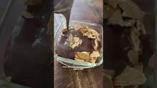 🤌🏻10 MINUTE BISCUIT PUDDING 🤌🏻 HOME MADE CHOCOLATE PUDDING #shorts