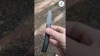 Нож складной Petrified Fish Patte v2 PF719CDW  #edc #prorezknives #petrifiedfish #pf719