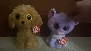 Beanie Boos that every Beanie Boo collector MUST HAVE