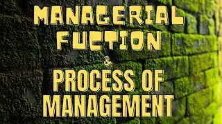 Managerial Function & Process of Management