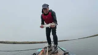 Limit of Trout Trolling on the Paddleboard