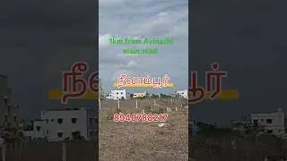 Dtcp 3.25 cents Sale Neelambur