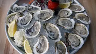 492 oysters eaten in 27 minutes, world record set in Montreal