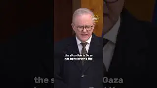 Австралия заявила, что признает палестинское государство в сентябре | Islam Channel