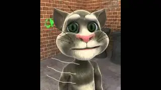 Talking Tom