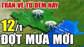 🔴[Trực Tiếp] Dự b&aacute;o thời tiết h&ocirc;m nay v&agrave; ng&agrave;y mai 12/1/2026 | dự b&aacute;o thời tiết 3 ng&agrave;y tới