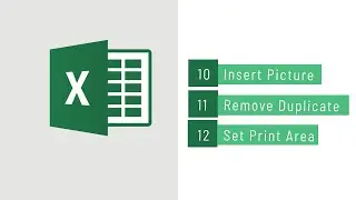 How to insert picture, Remove Duplicate, Set Print Area.