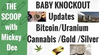 Bitcoin / Uranium / Cannabis / Gold / Silver Baby Knockout Updates / The Scoop