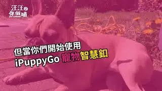 【Pawbo波寶】寵物智慧釦/運動追蹤器