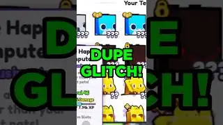 Duplicating Pets in Pet Simulator 99?!