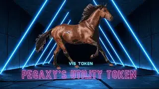 Let's TALK about VIS Token, PEGAXY's Utility Token