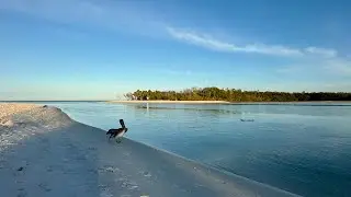 Robb&rsquo;s Thursday Morning Beach Walk at Delnor-Wiggins in North Naples, Florida | January 8, 2026