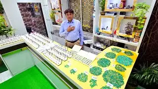 Natural Zambian Emerald ₹ 8000/ct available new lot #swarnanjali #viral #shorts #gemstone  #trending