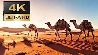 Real 4K HDR Video Exploring Earth - Dolby Vision 4K Video Ultra HD (120 fps)