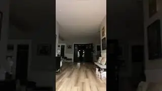 **Corey Scherer TikTok**