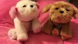 Little Live Pets Tiara and Snuggles Puppies
