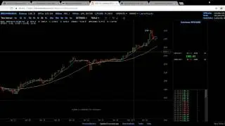Bitcoin Price (Fundamental Analysis) Segwit and Moonbeam