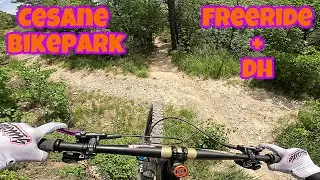 Raw - Top to Bottom Freeride + DH Cesane
