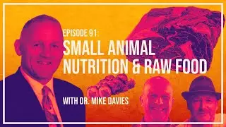Ep 91: Small Animal Nutrition And Raw Feeding With Dr Mike Davies