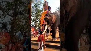 പേരാതൃക്കോവ് ശ്രീരാമസ്വാമിയുടെ തിടമ്പുമായി രാമൻ വരുന്നു❤️&zwj;🔥🙏🏻🔥🫶🏻#thechikottukavuramachandran#pooram