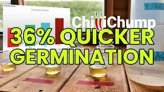 Quicker Germination, Cheap and Easy! Chilli Pepper Seed Experiment