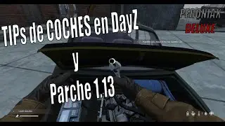 TIPs de COCHES en DayZ y Parche 1.13 -  NEVER ZURRENDER 14 d&iacute;as.