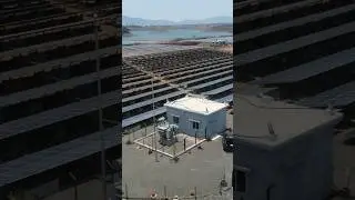 Solar Power Plant - Pune #shorts #solar #sustainability #climatechange #gogreen #electricity #tsm
